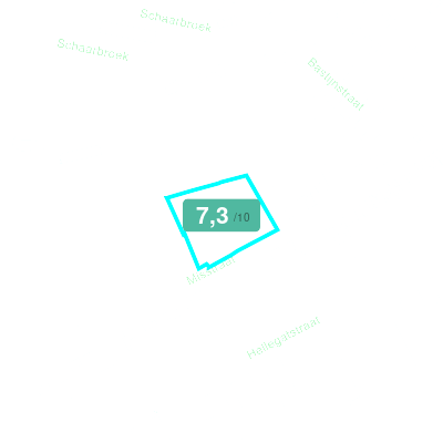 Mobiscore
