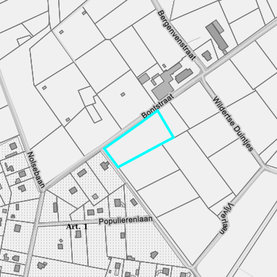 Ruimtelijke uitvoeringsplannen (RUP)