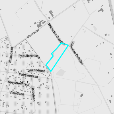 Ruimtelijke uitvoeringsplannen (RUP)