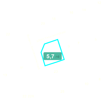 Mobiscore