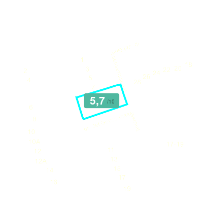 Mobiscore