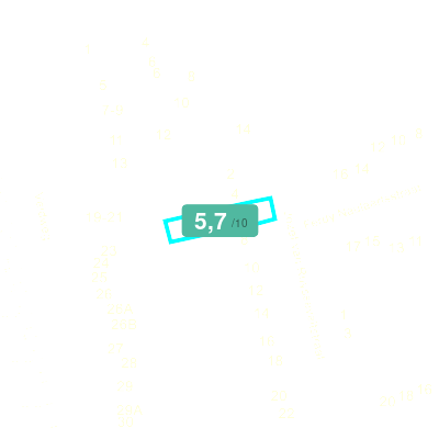 Mobiscore