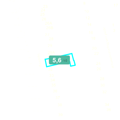 Mobiscore