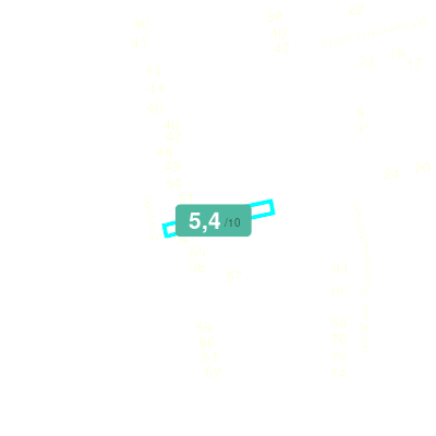 Mobiscore