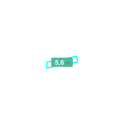 Mobiscore