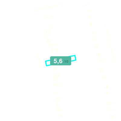 Mobiscore