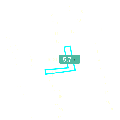 Mobiscore