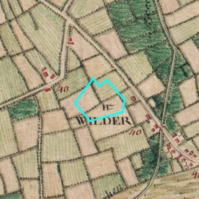 Ferraris (1771-1778)