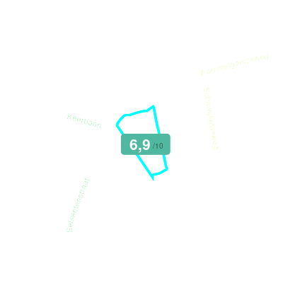 Mobiscore