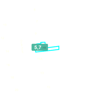Mobiscore