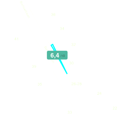 Mobiscore