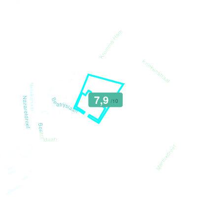 Mobiscore