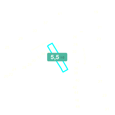 Mobiscore