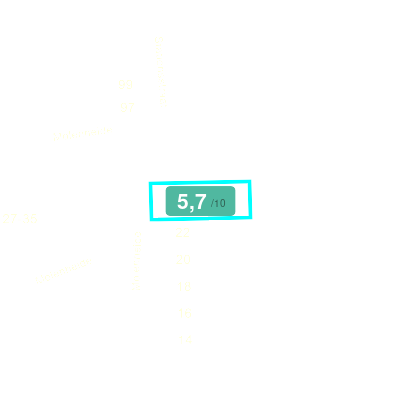 Mobiscore