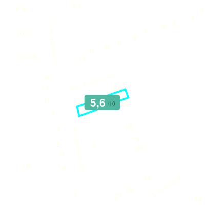 Mobiscore