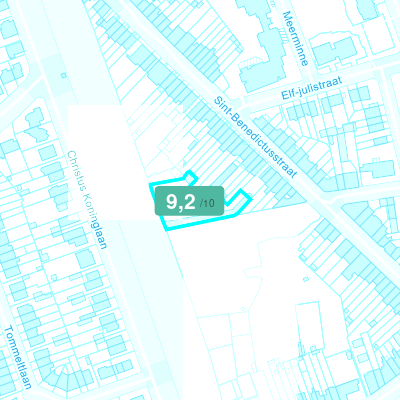 Mobiscore