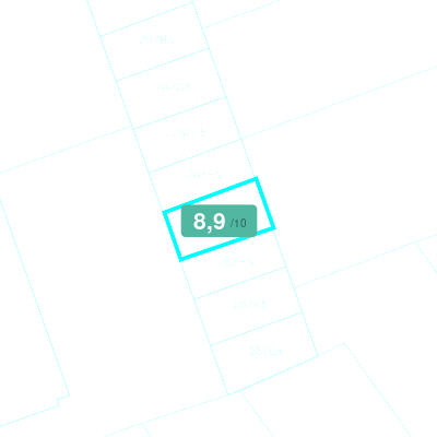 Mobiscore