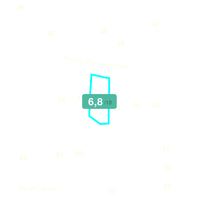 Mobiscore