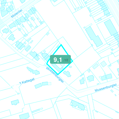 Mobiscore