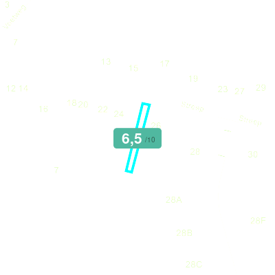 Mobiscore