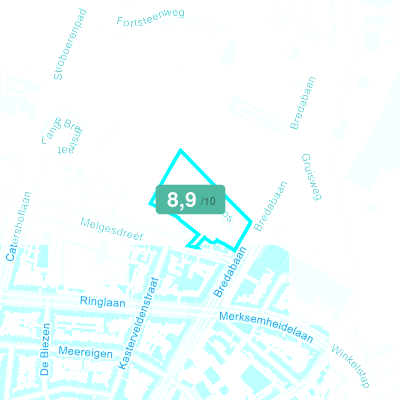 Mobiscore