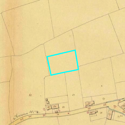 Algemeen Bodemgebruik (ABW)