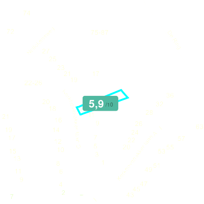 Mobiscore