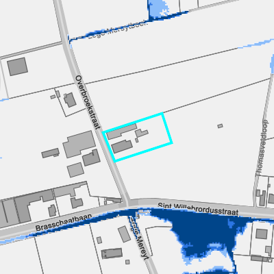 Overstromingsgevoelig (pluviaal)