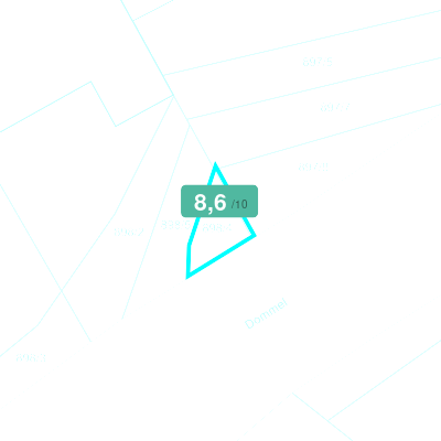 Mobiscore