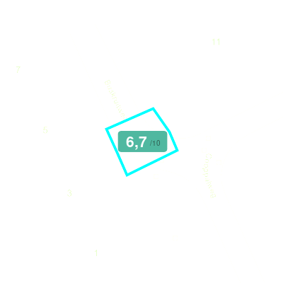 Mobiscore